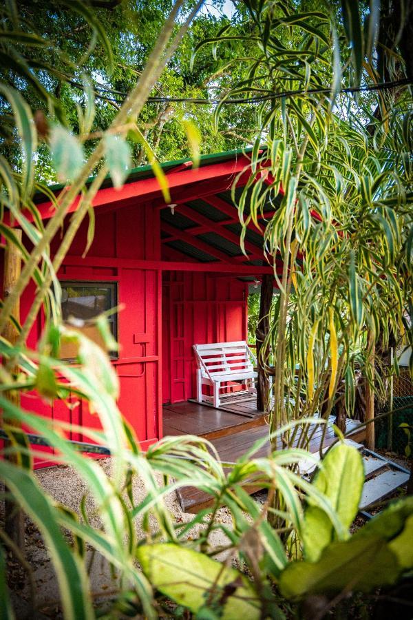 Pura Vida Mini Hostel Santa Teresa Playa Santa Teresa  Exteriér fotografie