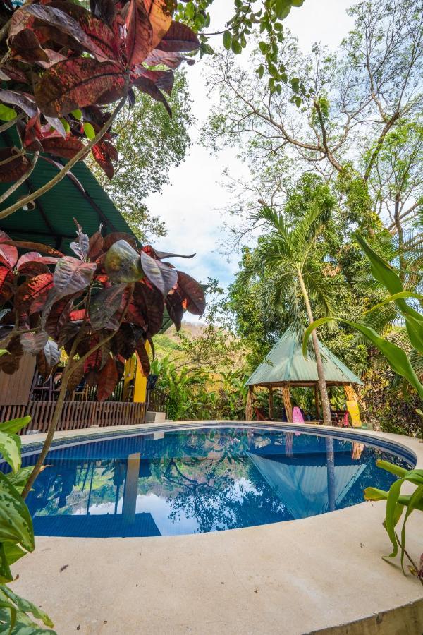 Pura Vida Mini Hostel Santa Teresa Playa Santa Teresa  Exteriér fotografie