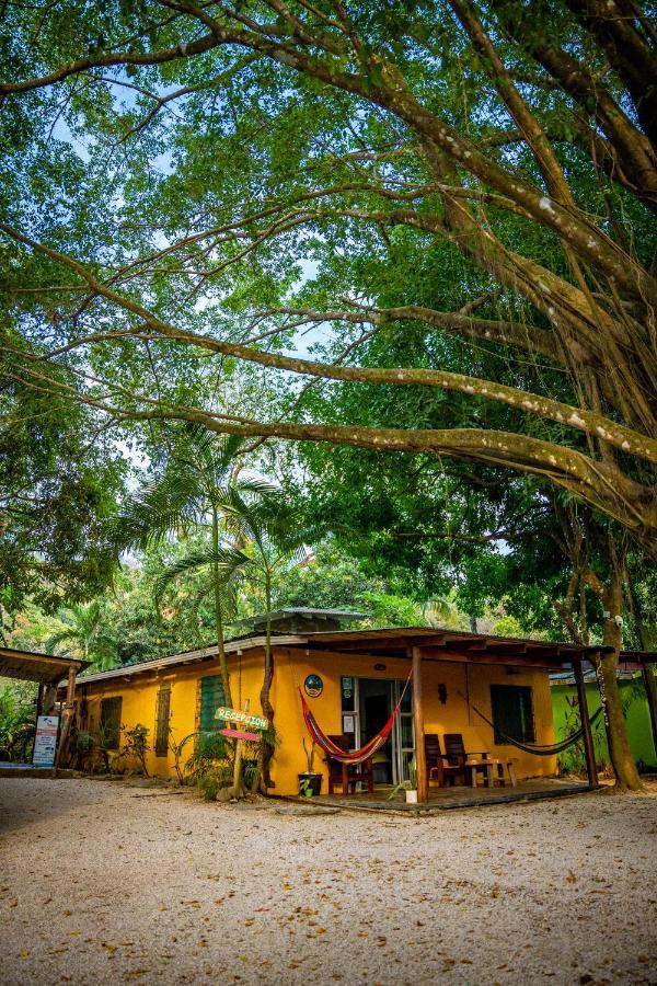 Pura Vida Mini Hostel Santa Teresa Playa Santa Teresa  Exteriér fotografie